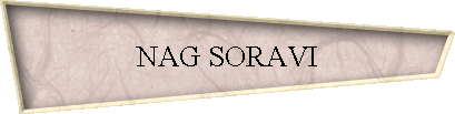 NAG SORAVI